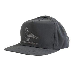 Anti Hero Basic Pigeon Grey Snapback