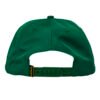 Anti Hero Grimple Green Snapback