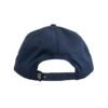 Anti Hero Pigeon Round Snapback