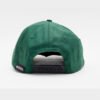 Etnies Sheep Snapback