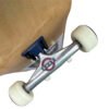 Patineta Armada TACO Ali 8.25"
