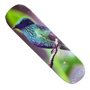 Pinchiputiza Colibri Tabla 8.25