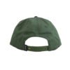 Spitfire Bighead Fill Green Snapback