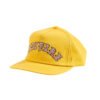 Spitfire Old E Arch Gold Snapback
